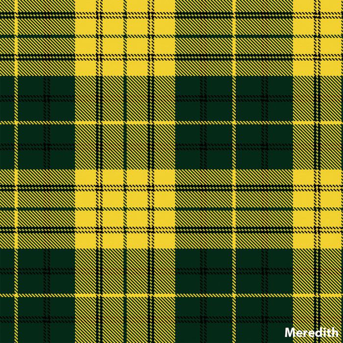 Meredith Of Wales Tartan - Meredith Of Wales Kilt - Meredith Of Wales 