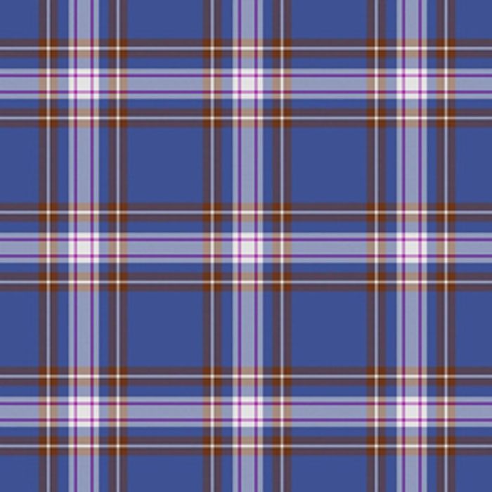 Tartan Kilt Clan Baker Family Tartan Kilt